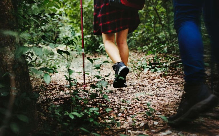 Free Walk